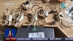 <b>虚假视频正在短时</b>